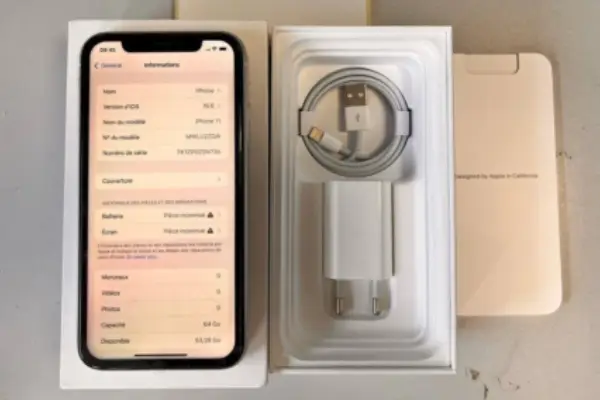 changement batterie iPhone rapide et pas chère au Lardin Saint Lazare par Réparazard professionnel atelier local